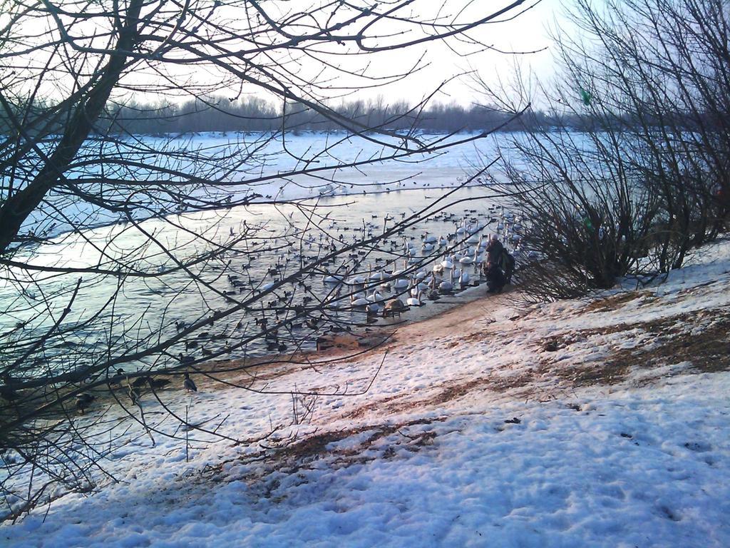 Aluzyjna Erapartments Jablonna  Bagian luar foto