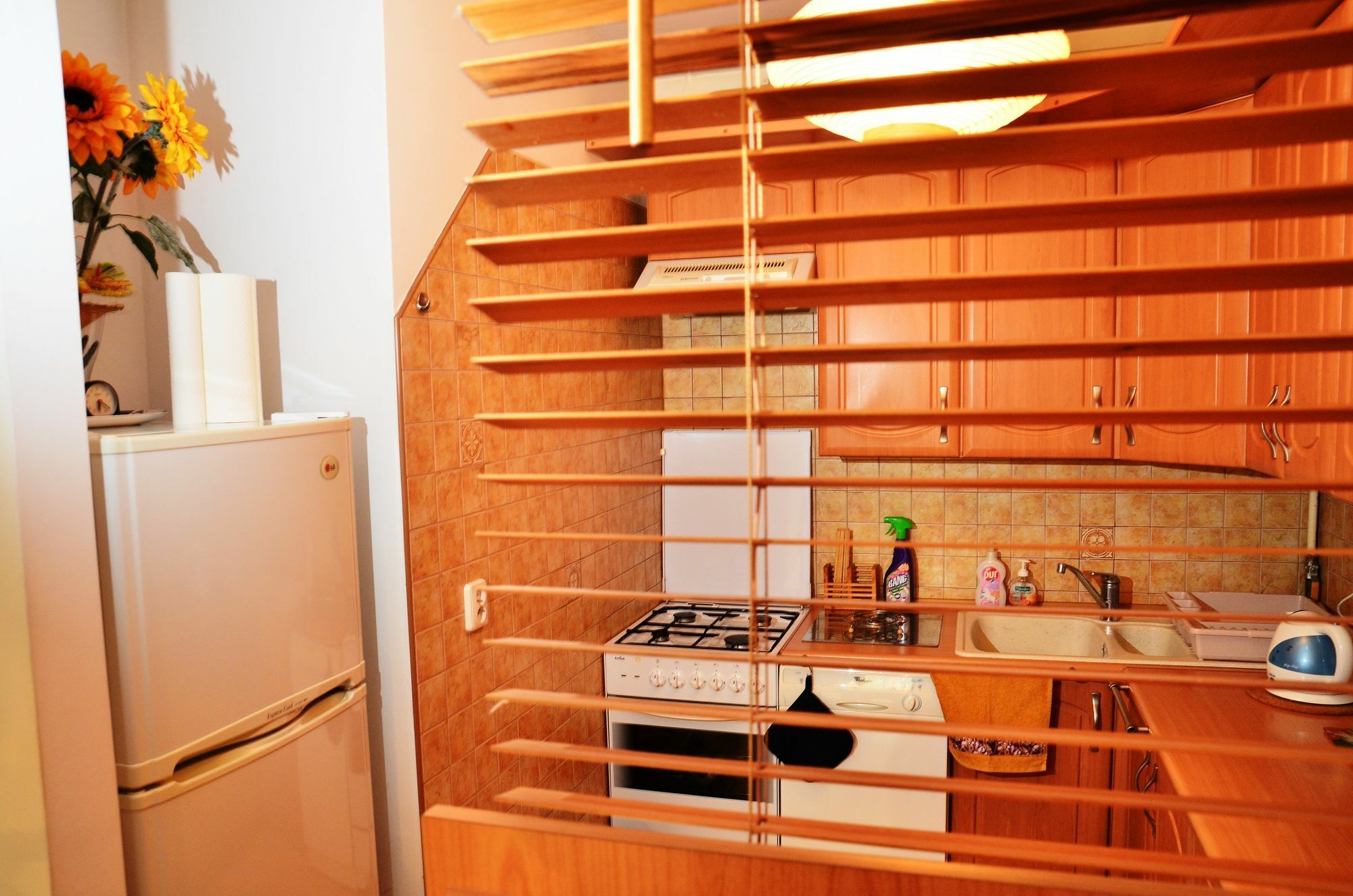 Aluzyjna Erapartments Jablonna  Bagian luar foto